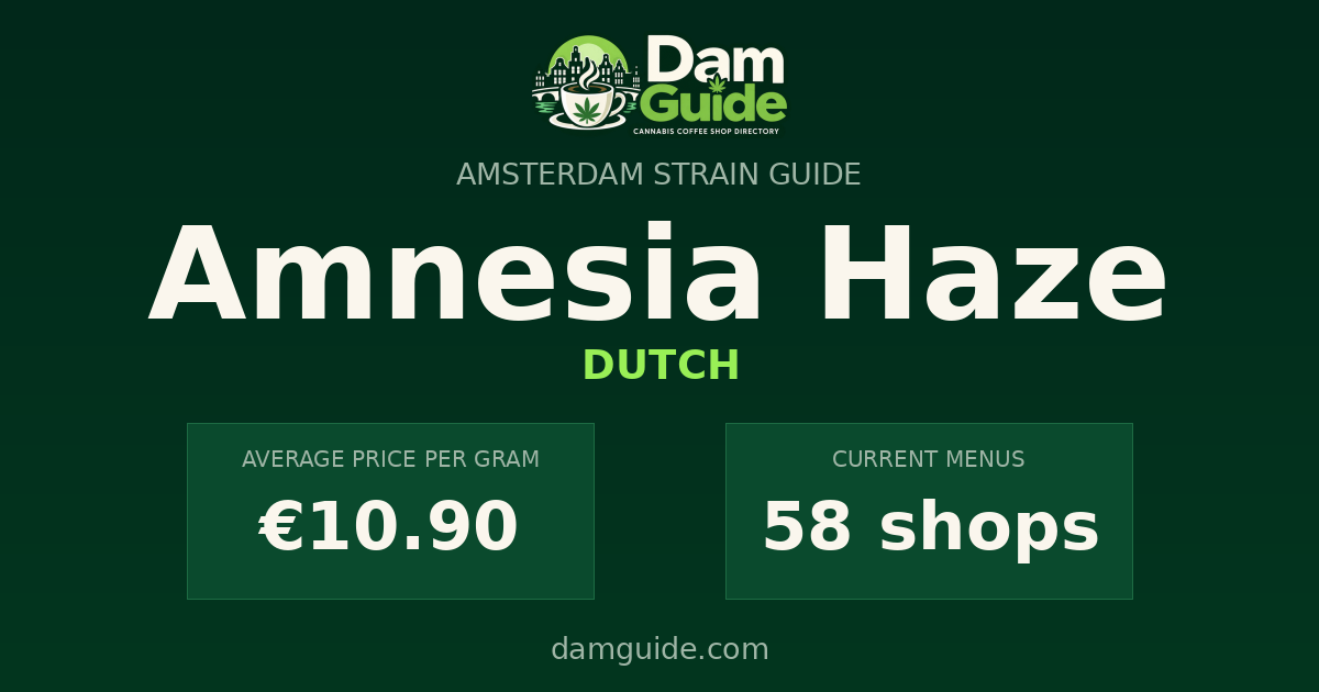 Amnesia Haze: average price and number of shops