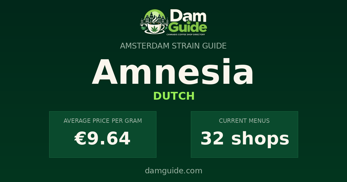 Amnesia: average price and number of shops