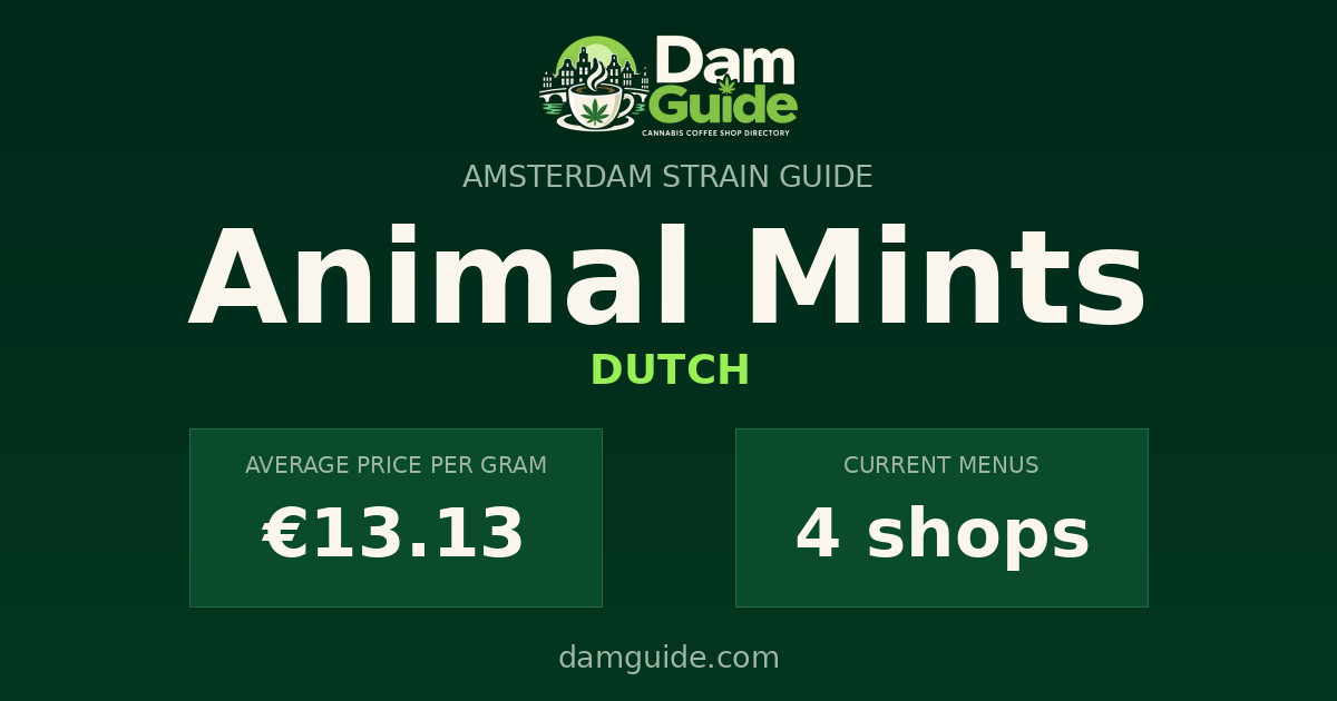 Animal Mints: average price and number of shops