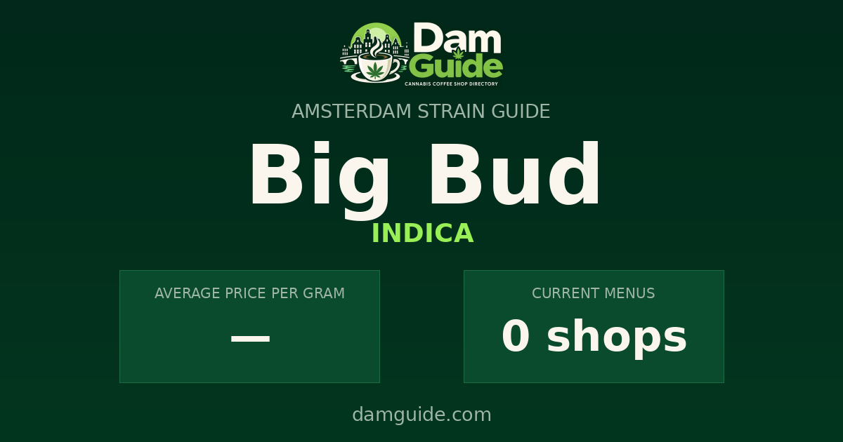 Big Bud: average price and number of shops