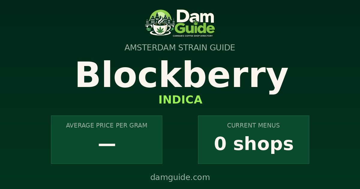 Blockberry: average price and number of shops