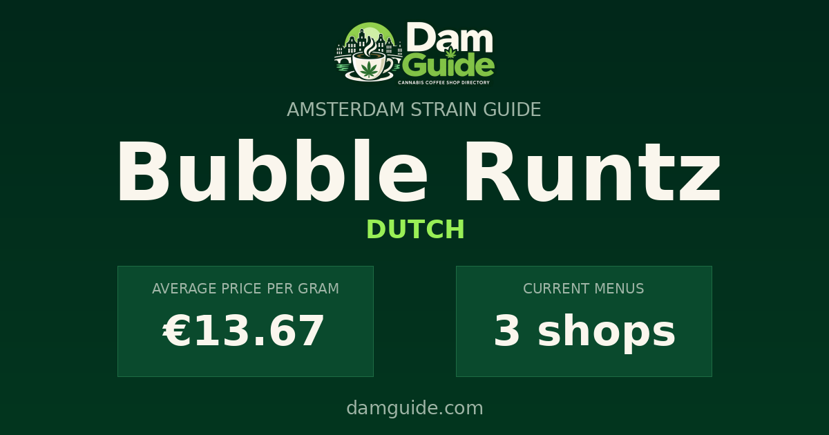 Bubble Runtz: average price and number of shops