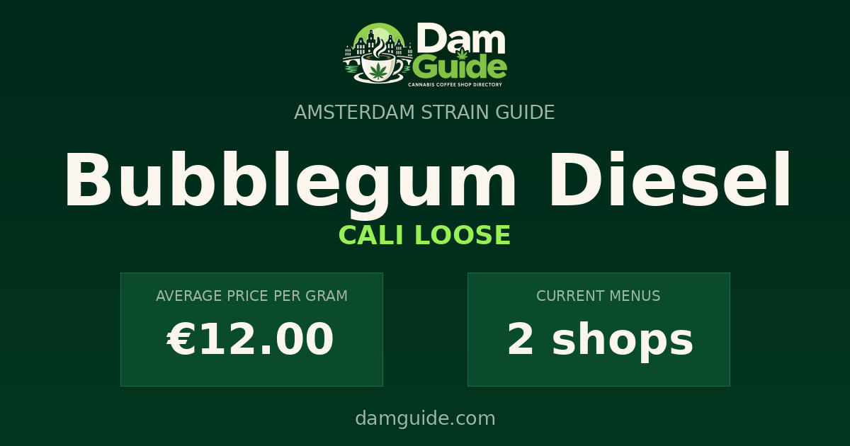 Bubblegum Diesel: average price and number of shops