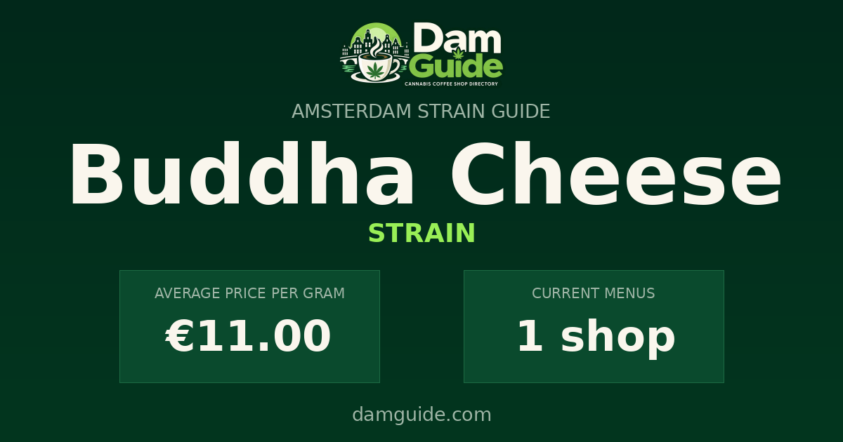 Buddha Cheese: average price and number of shops