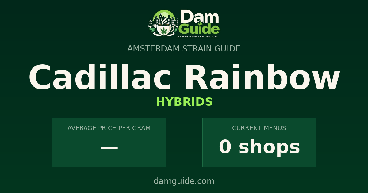 Cadillac Rainbow: average price and number of shops