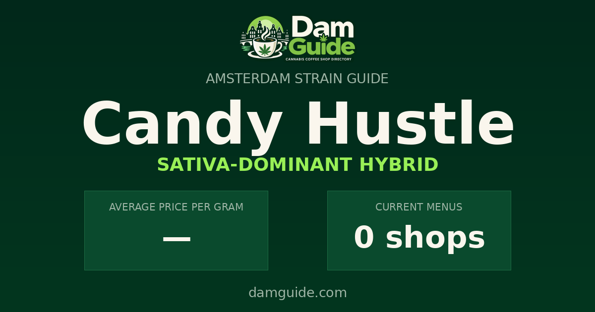 Candy Hustle: average price and number of shops