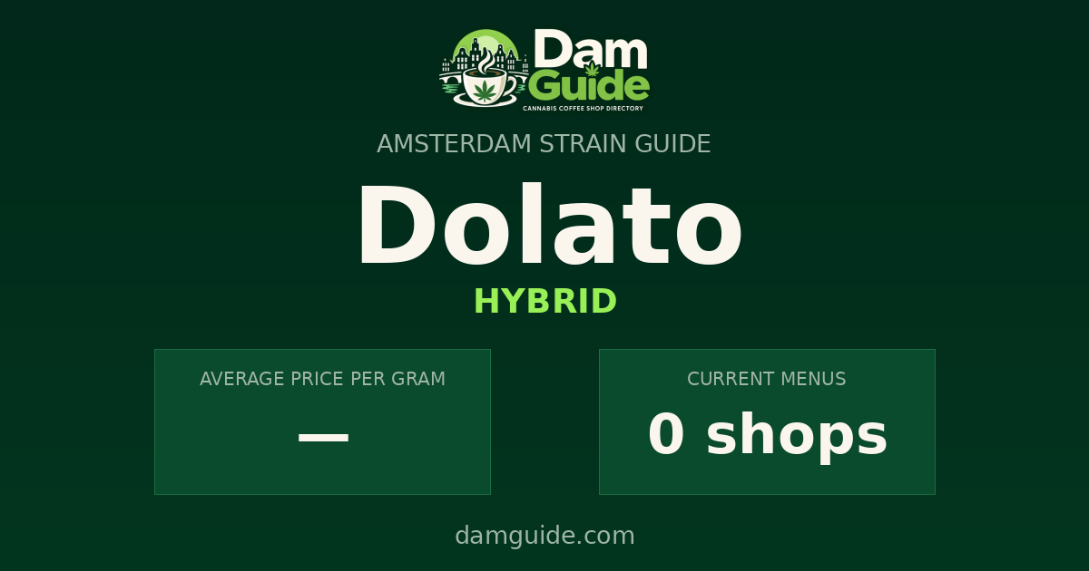 Dolato: average price and number of shops