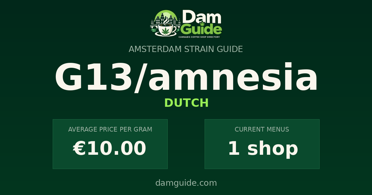 G13/amnesia: average price and number of shops