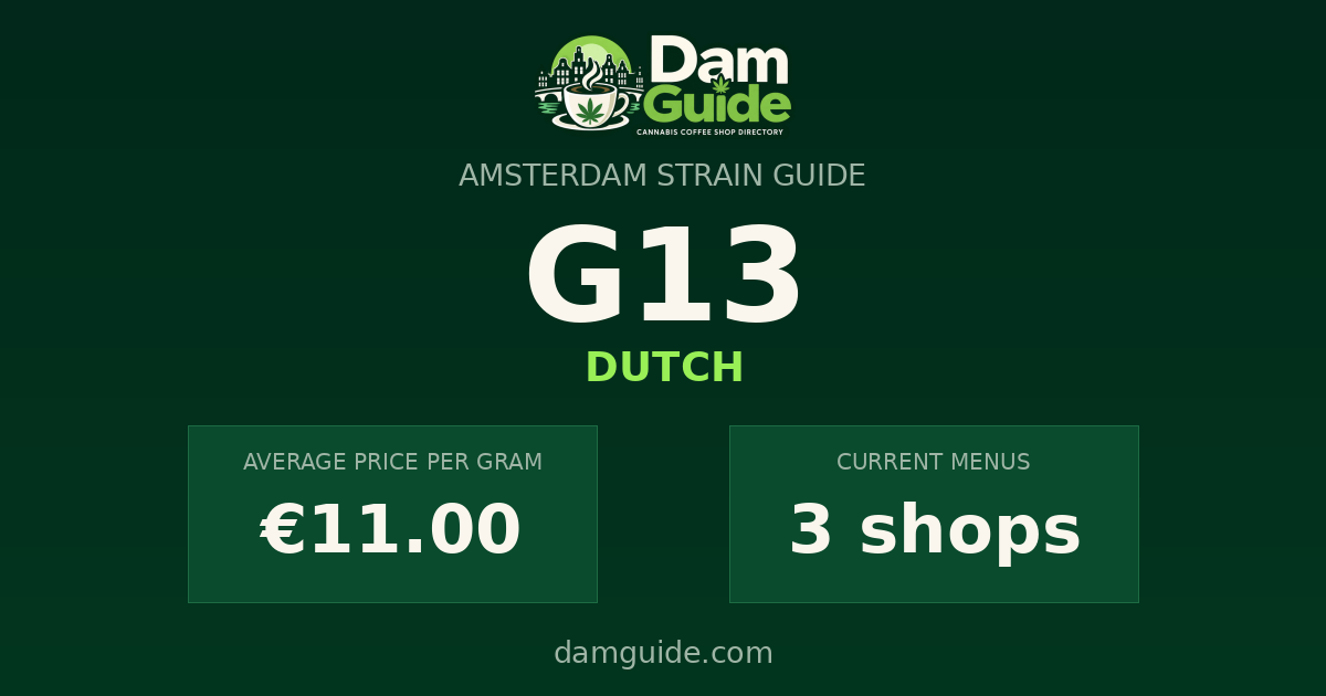 G13: average price and number of shops