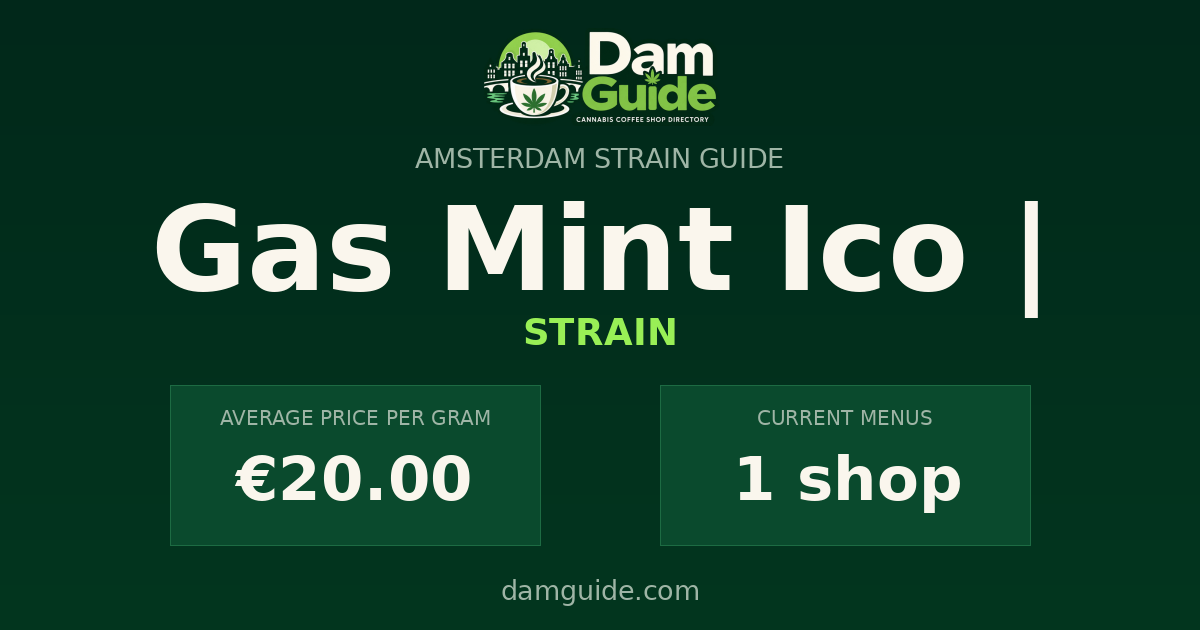 Gas Mint Ico |: average price and number of shops