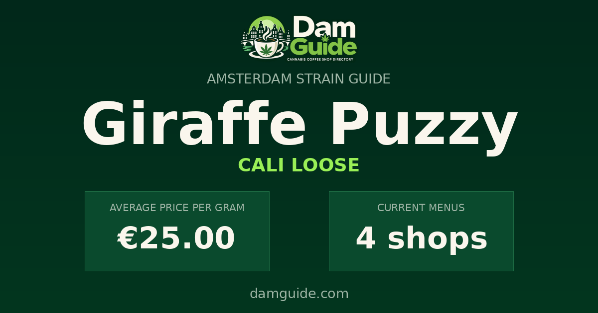 Giraffe Puzzy: average price and number of shops