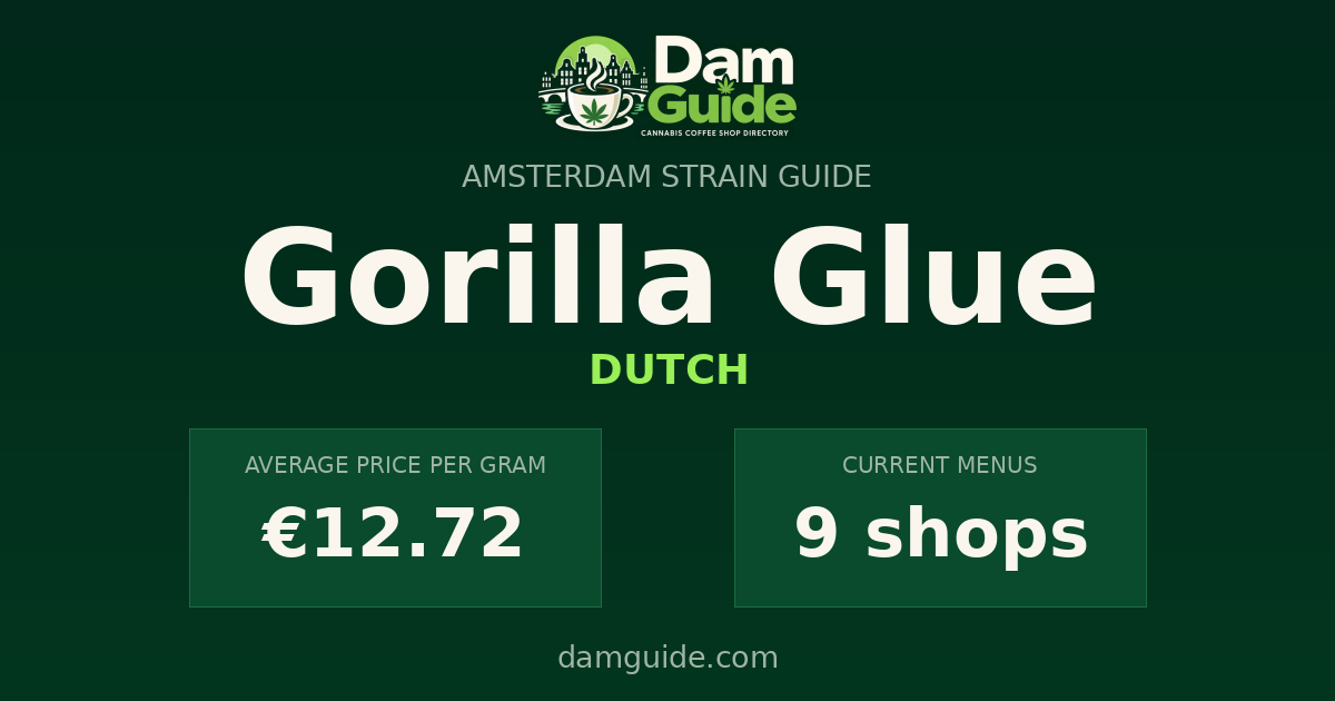 Gorilla Glue: average price and number of shops