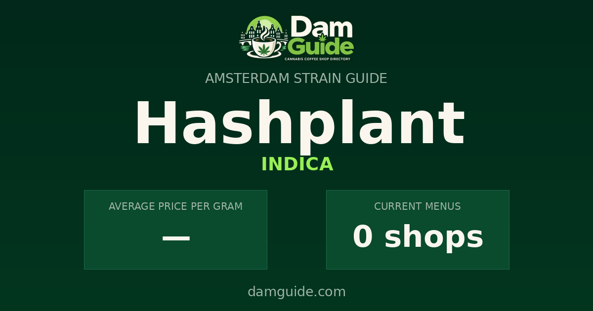 Hashplant: average price and number of shops