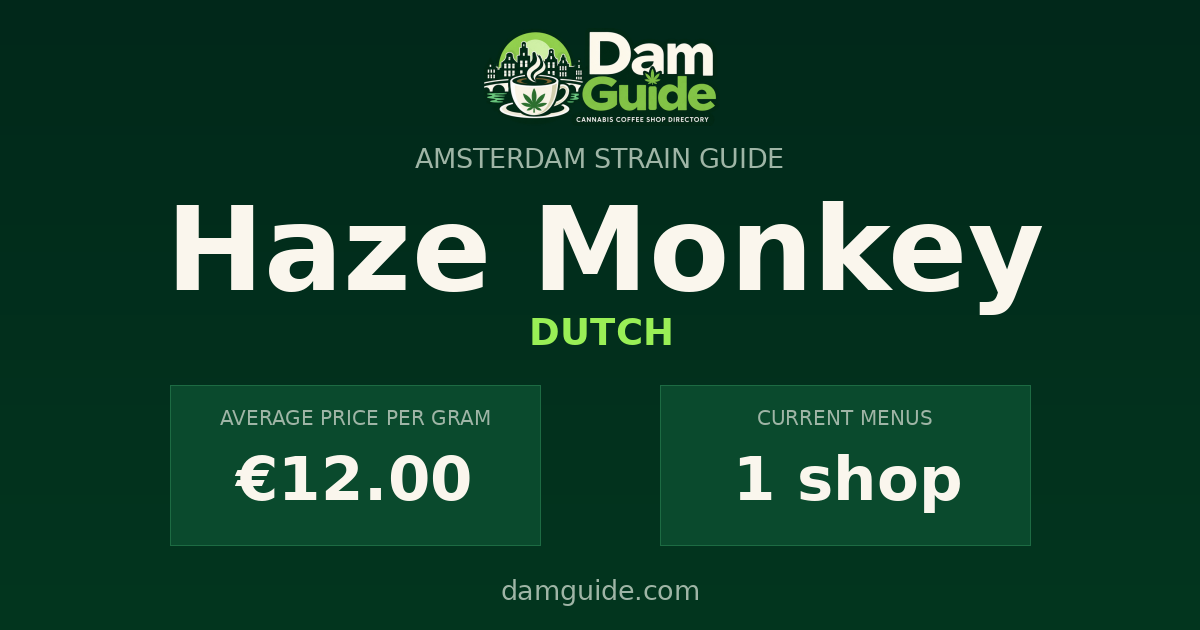 Haze Monkey: average price and number of shops