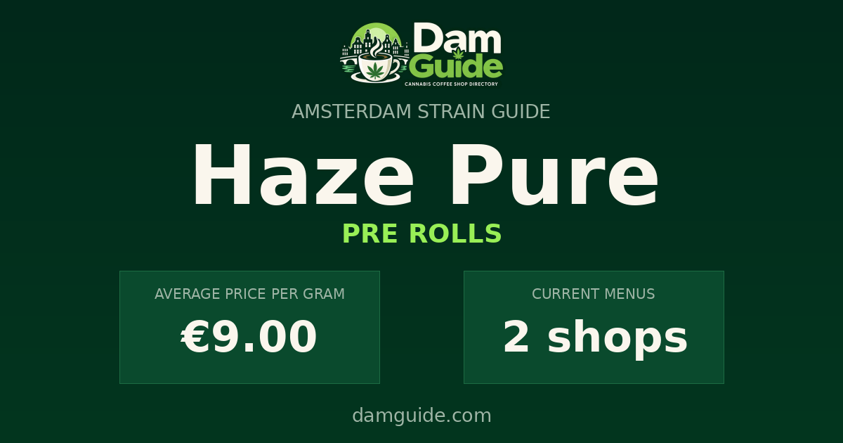 Haze Pure: average price and number of shops