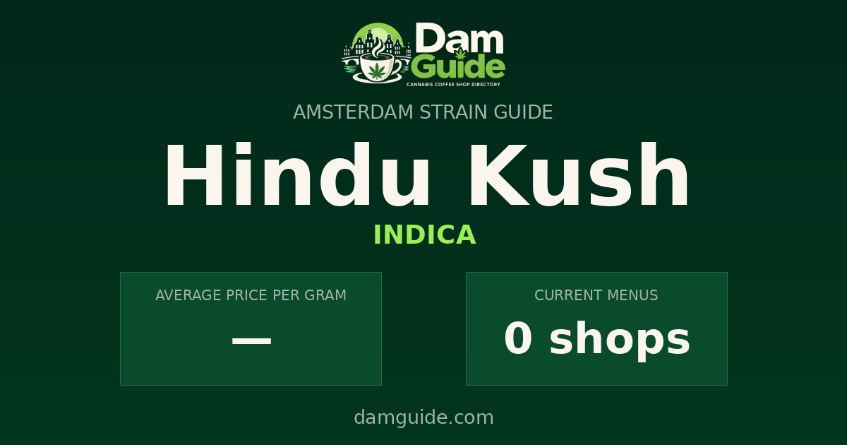 Hindu Kush: average price and number of shops