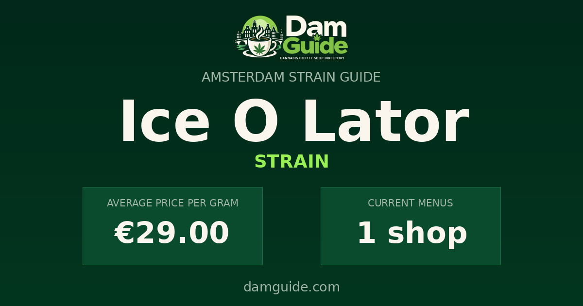 Ice O Lator: average price and number of shops