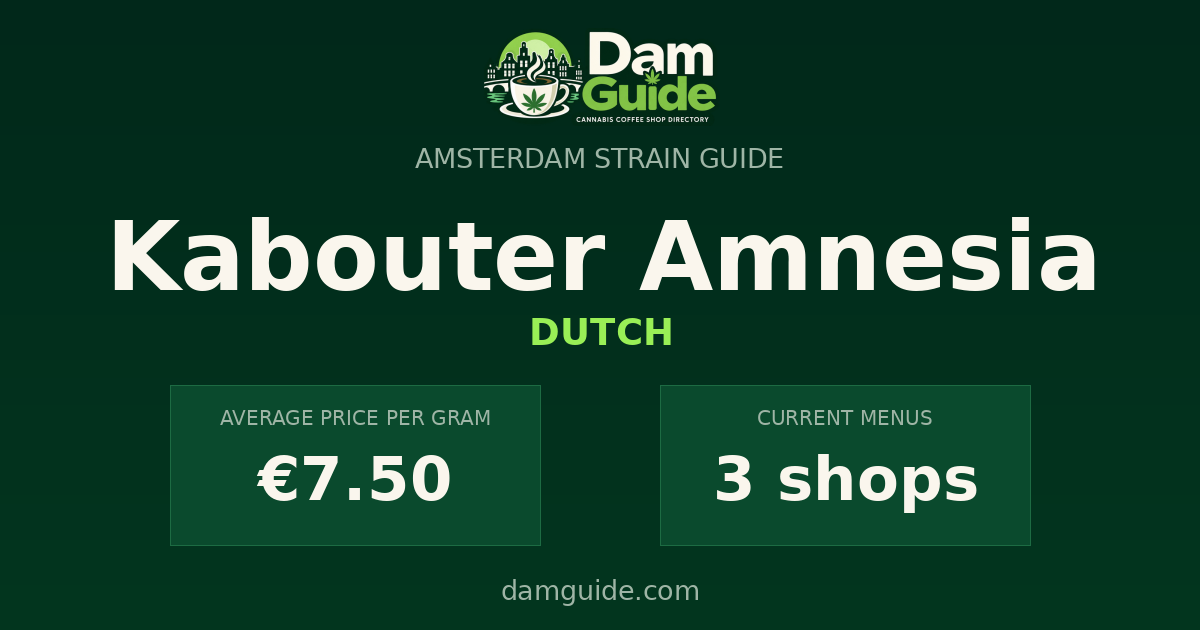 Kabouter Amnesia: average price and number of shops