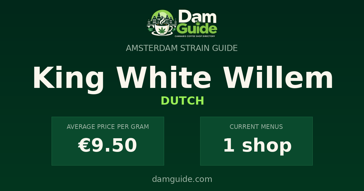 King White Willem: average price and number of shops