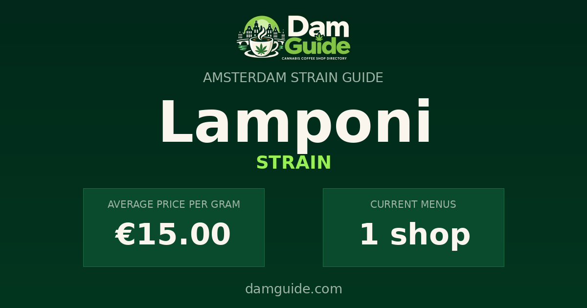 Lamponi: average price and number of shops