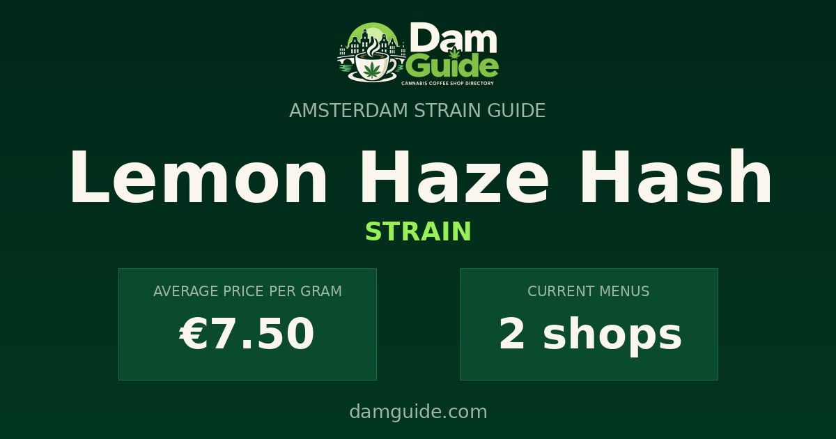 Lemon Haze Hash: average price and number of shops