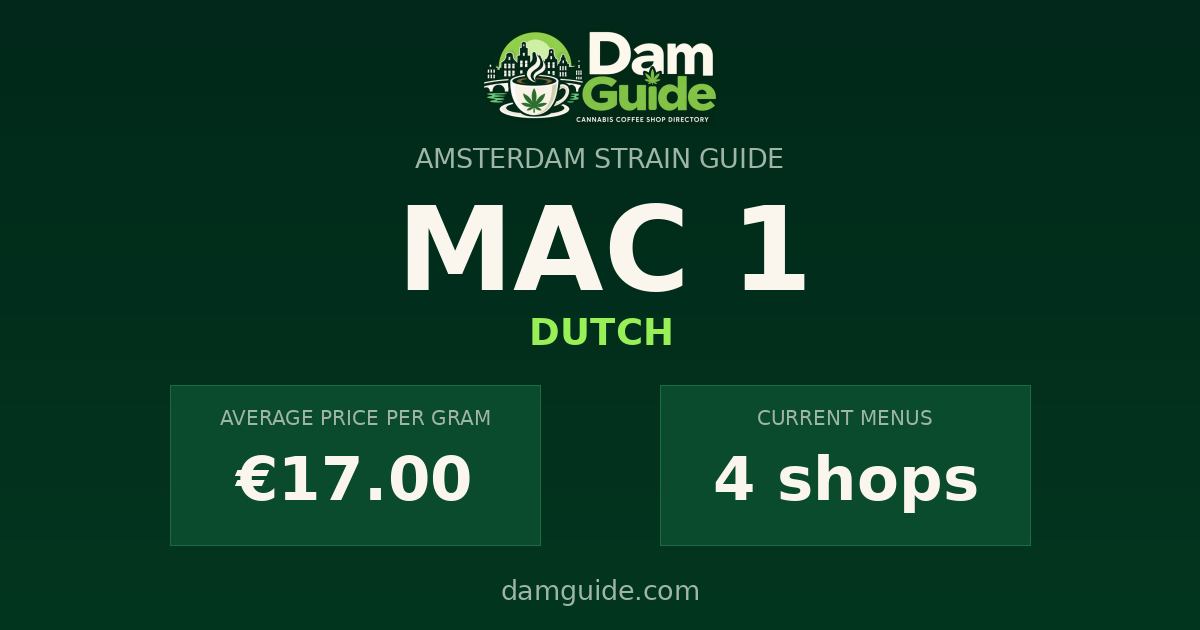 MAC 1: average price and number of shops