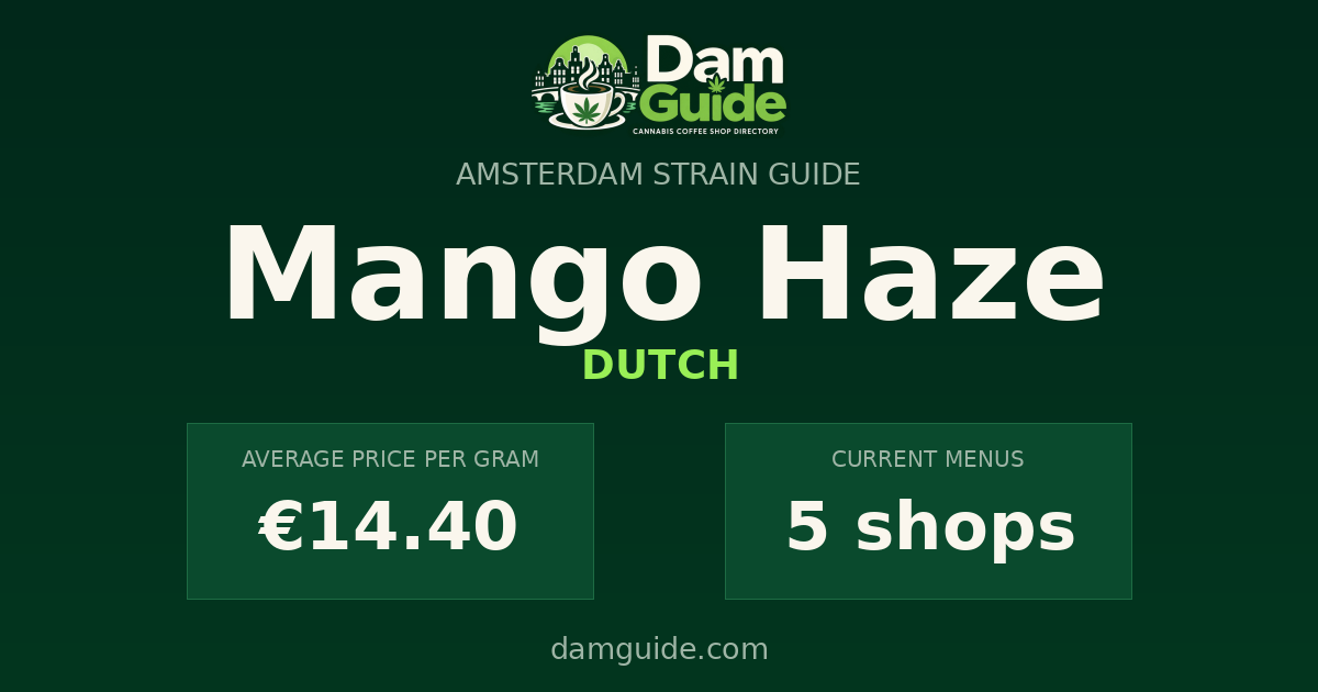 Mango Haze: average price and number of shops