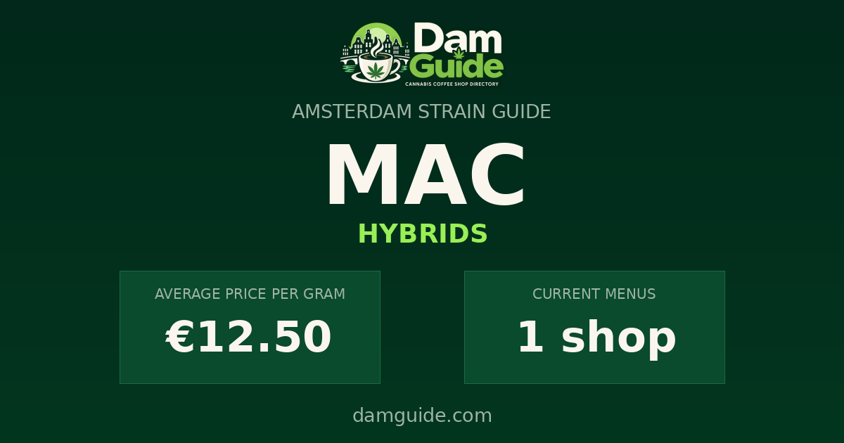 MAC: average price and number of shops
