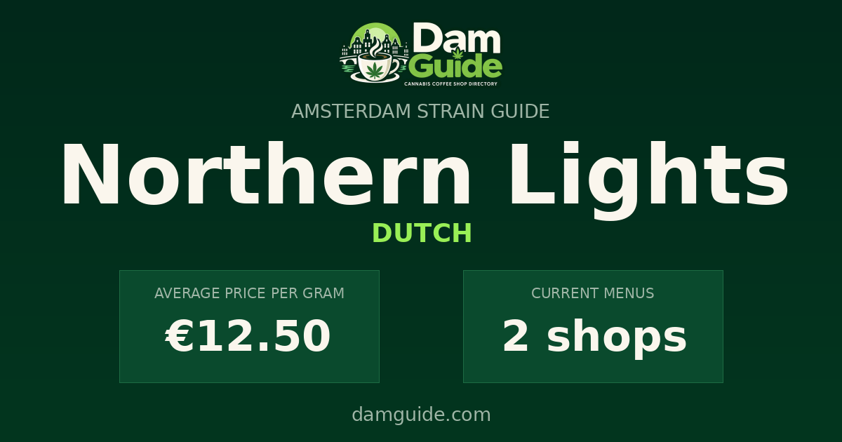 Northern Lights: average price and number of shops