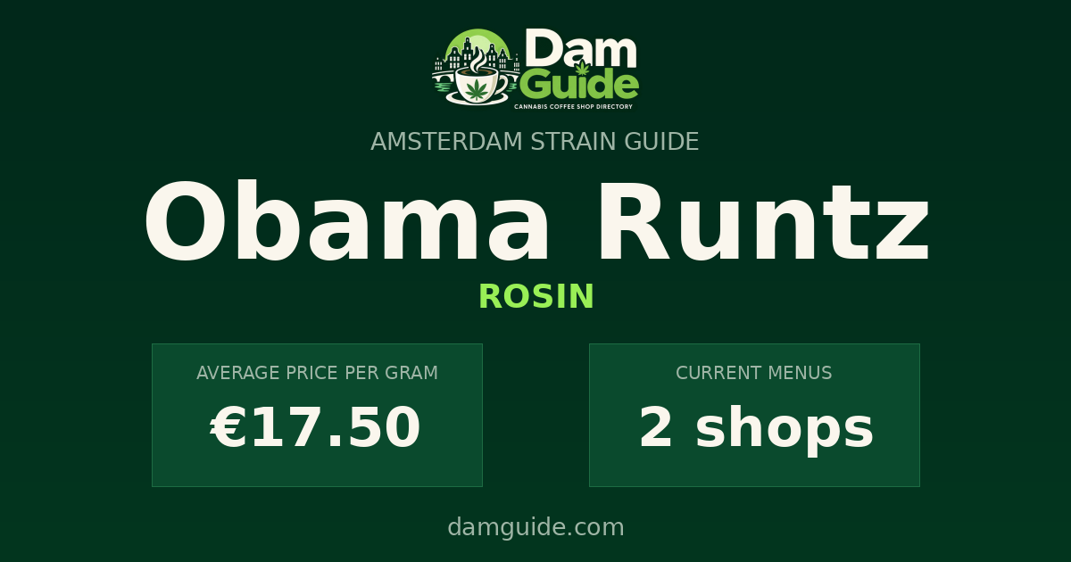 Obama Runtz: average price and number of shops