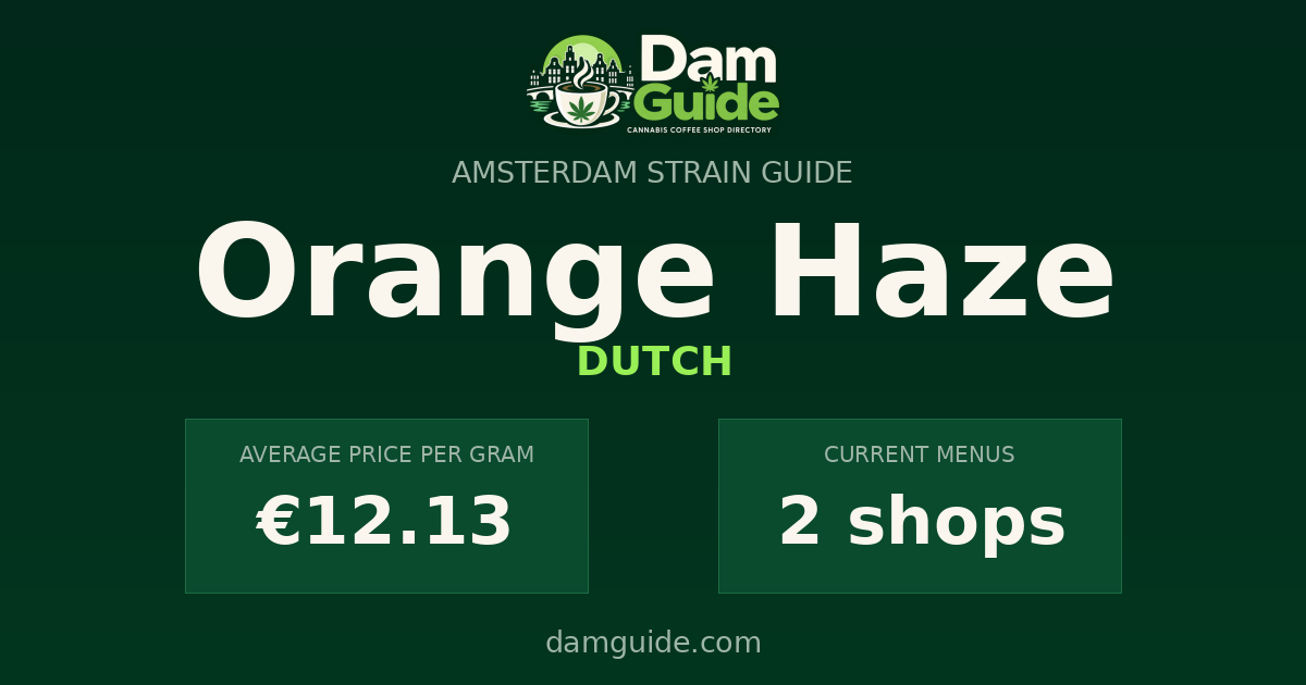 Orange Haze: average price and number of shops