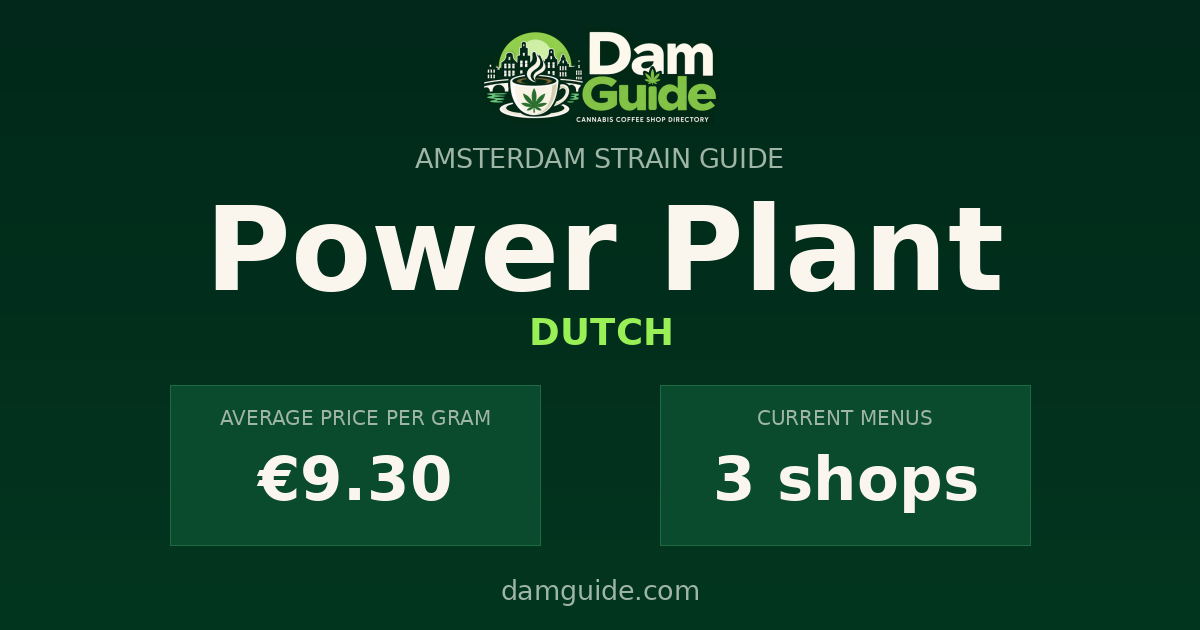 Power Plant: average price and number of shops