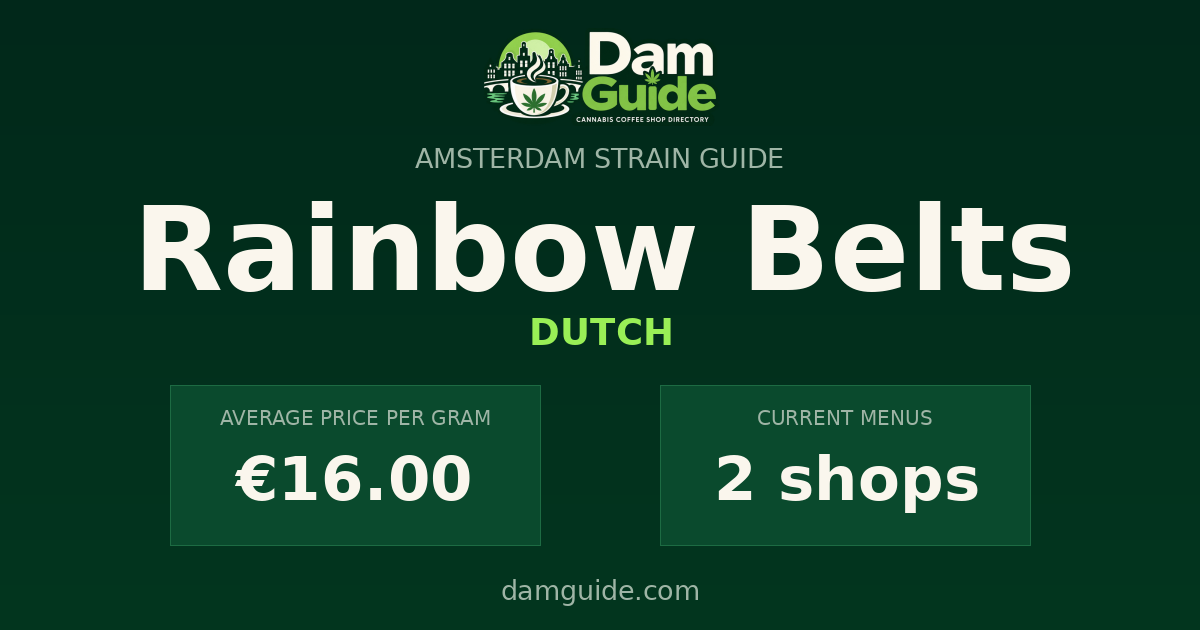 Rainbow Belts: average price and number of shops