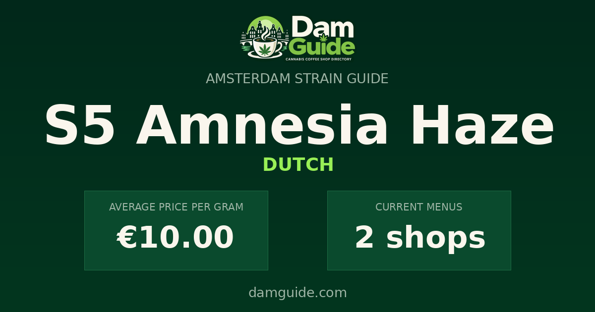 S5 Amnesia Haze: average price and number of shops