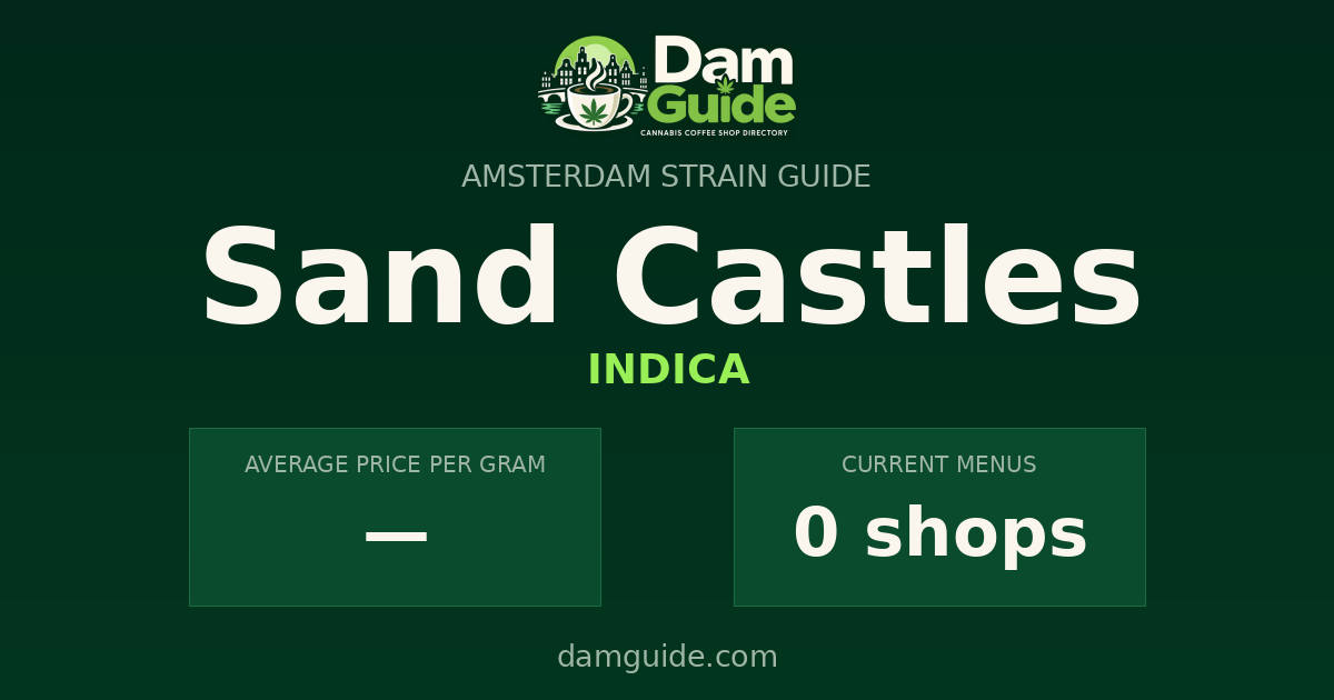 Sand Castles: average price and number of shops