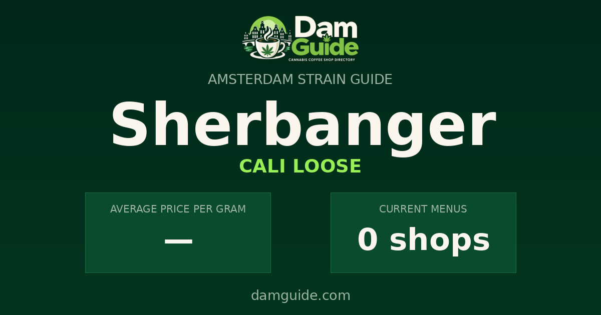 Sherbanger: average price and number of shops