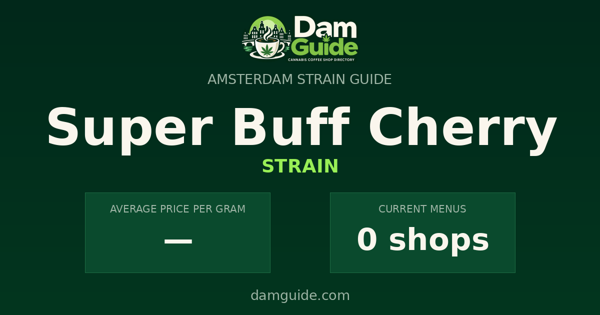 Super Buff Cherry: average price and number of shops