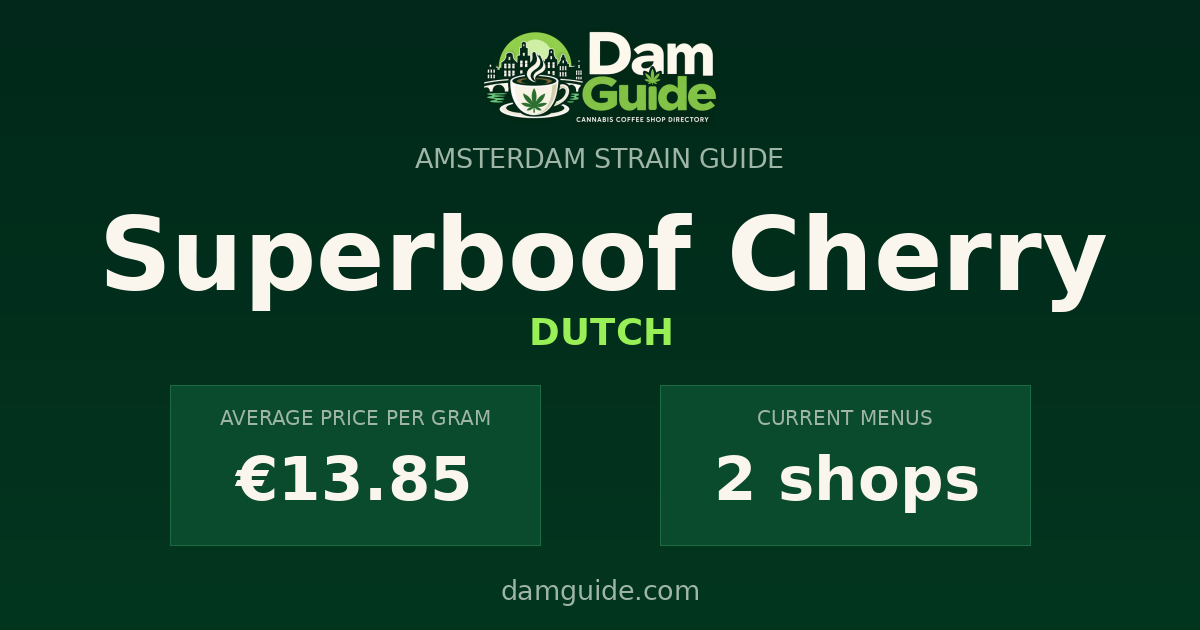 Superboof Cherry: average price and number of shops
