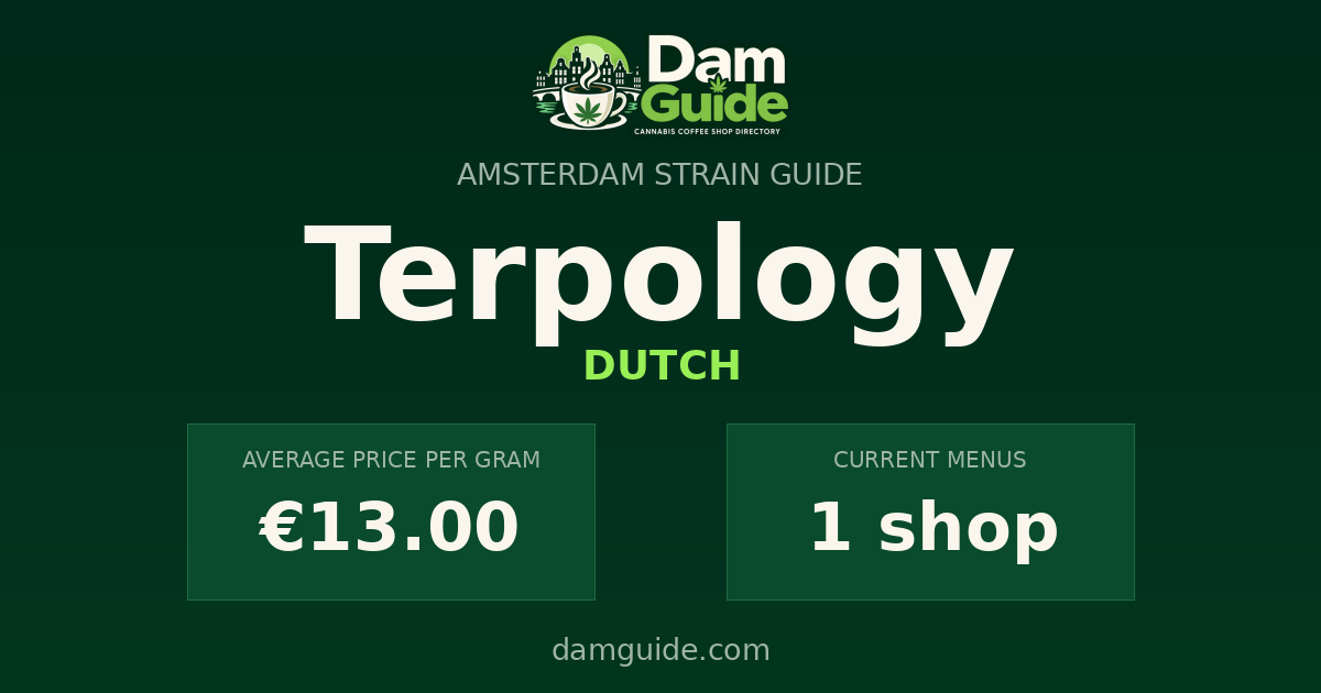 Terpology: average price and number of shops