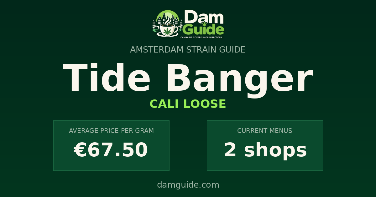 Tide Banger: average price and number of shops