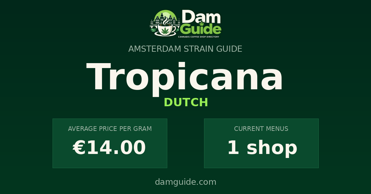 Tropicana: average price and number of shops