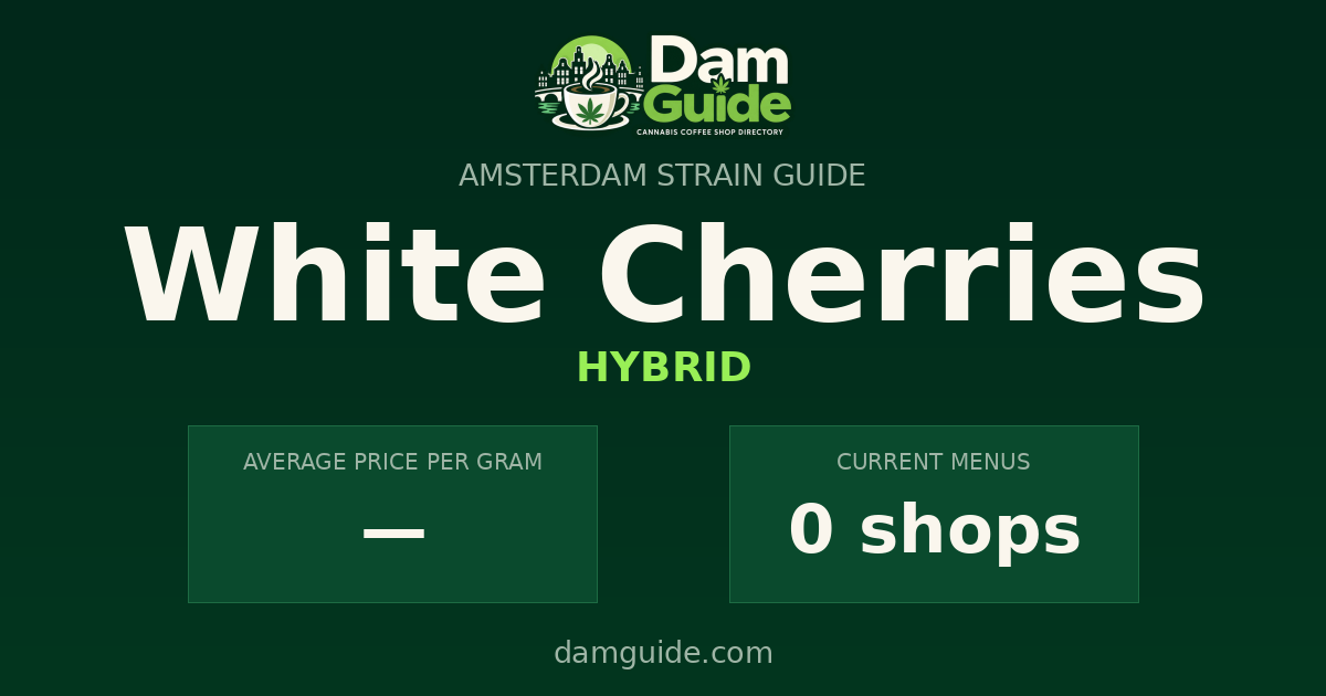 White Cherries: average price and number of shops