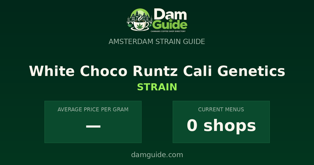White Choco Runtz Cali Genetics: average price and number of shops
