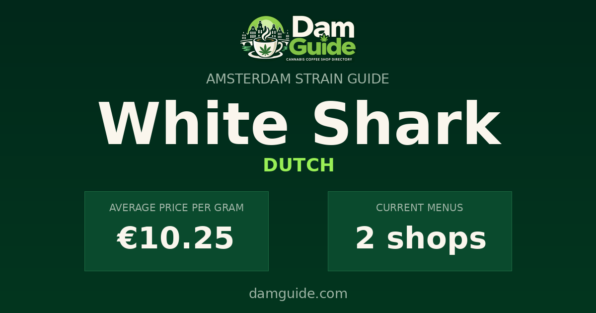 White Shark: average price and number of shops
